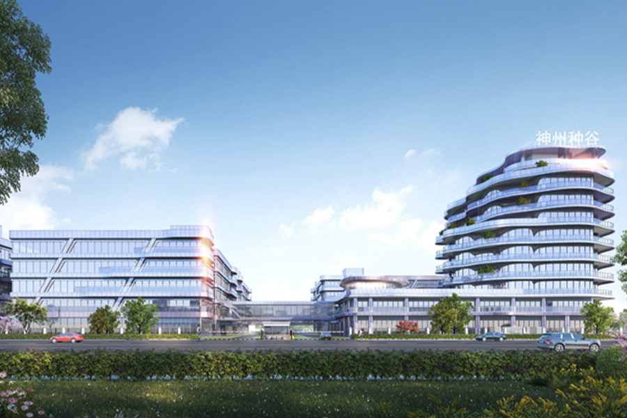 Valle de semillas de Anqing Shenzhou